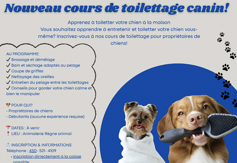 cours de toilettage