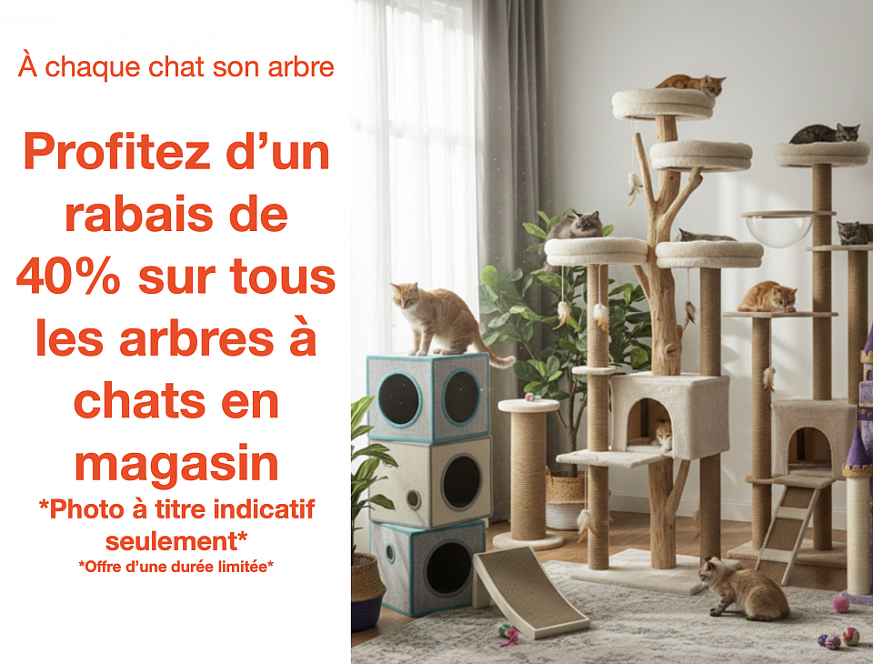 Photo à titre indicatif seulement