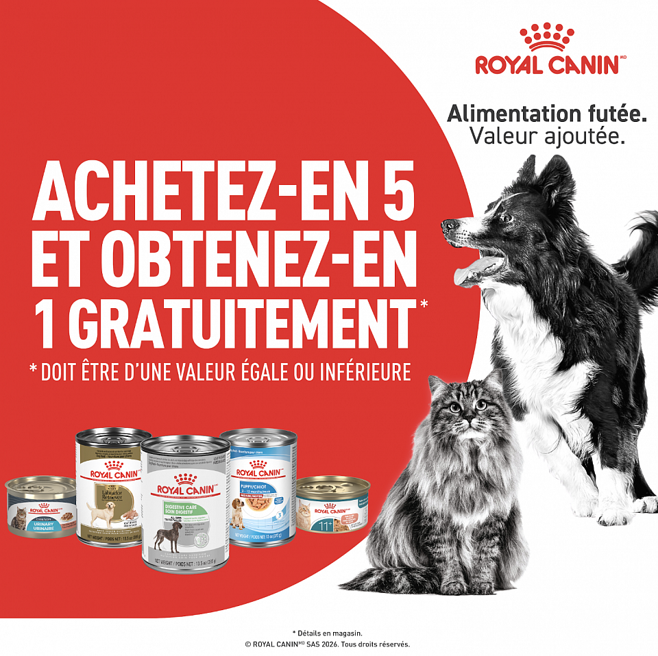 Spécial sur les conserves Royal Canin, pour une durée limités